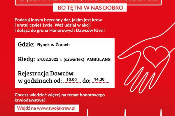 Akcje - plakaty 24-27.02.2022