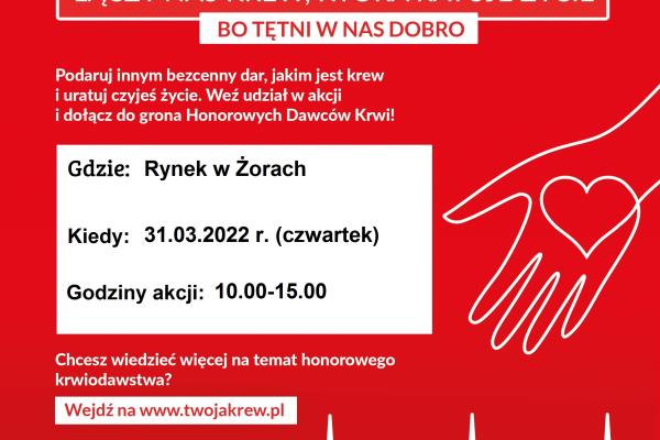 Akcje - plakaty 31.03.2022