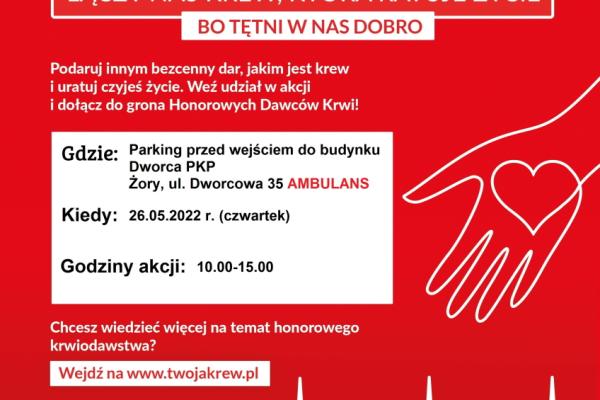 Akcje - plakaty 26-29.05.2022