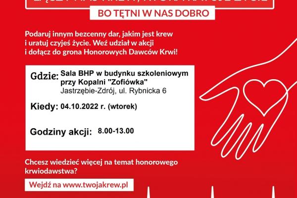 Akcje - plakaty 01-04.10.2022